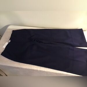 SPANX Purple Ankle & Cropped Pants